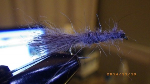z44rspwk5m77hs6e3y96_480_480-95e4e36f.jpg