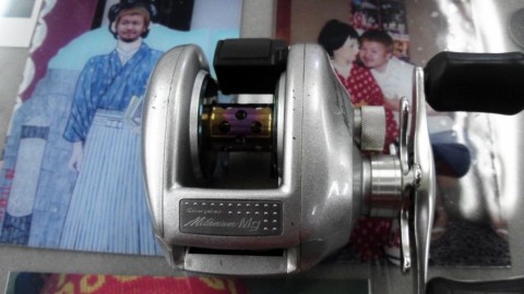 z47xavapioymyxs5oik6_480_480-5283e329.jpg
