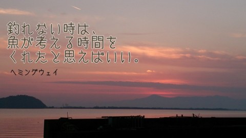z5a9zg4w9kufyhbfcc8p_480_480-f82b571b.jpg