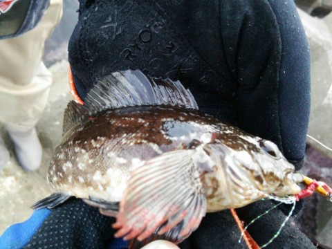 z5czeg2ffz4oc9xpxdvc_920_690-4027bd42.jpg
