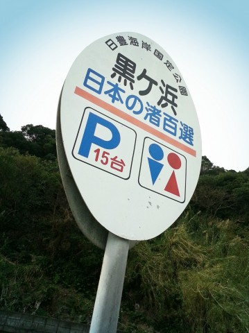 z5j96nrvf2r78yk6d8ps_480_480-9fd63386.jpg