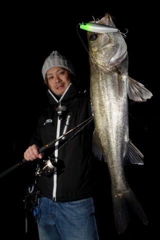 z5k8bd5yun65p65deg2g_480_480-c86f7f94.jpg