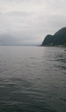 z5vjeu2h52g42oidrxdk_480_480-c8528292.jpg