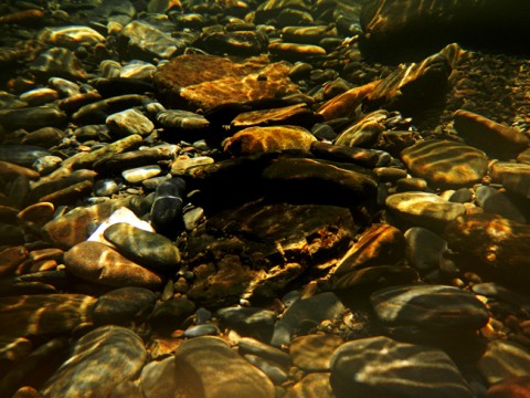z5vmatv7d7w8i9w2xrdi_480_480-6530e854.jpg