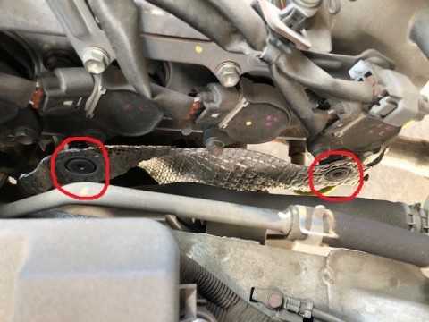 z6fgh2inhj58sawec67v_480_480-6c4cf054.jpg