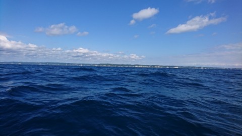 z6gbkg8s7x6yfix3it6r_480_480-79c27ee8.jpg