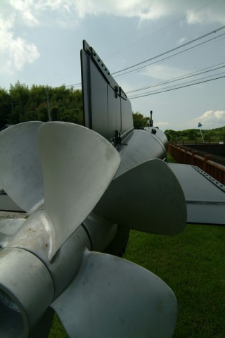 z6x7ucy5dxztirsskso5_480_480-c8381547.jpg