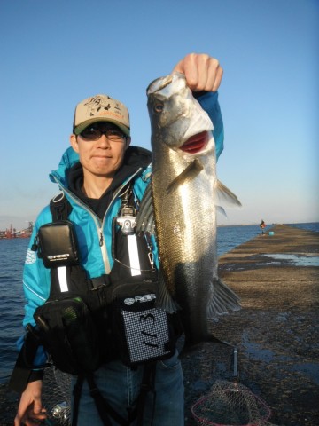 z6ywu3pti7edkxb33uu8_480_480-bf850f4c.jpg