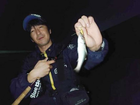 z768f2rrwyyxwrbf62pd_480_480-93127f78.jpg