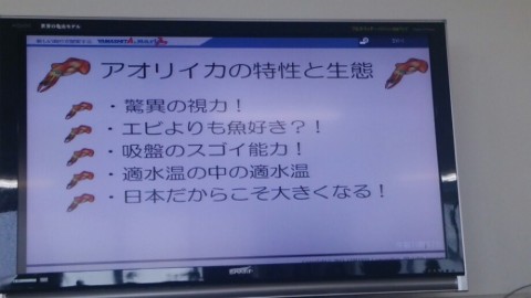 z7ih7yipkyfybfuj8hj6_920_518-1a9c791c.jpg