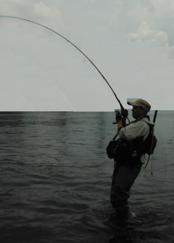 z7mh6ueohe6bgfigiu8n_480_480-95ff2457.jpg