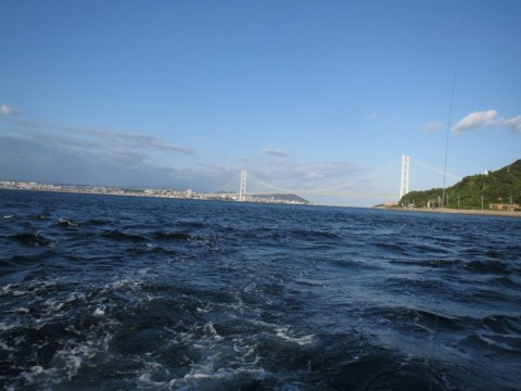 z7mo8w5b6rhb38eu8io9_480_480-dcb8a65e.jpg