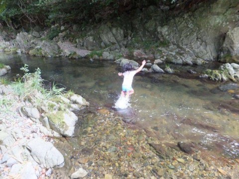 z7xkyph9x7yefdh9xz7t_480_480-f271f6ad.jpg