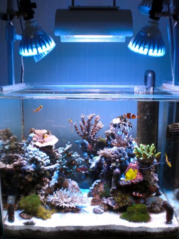 z7yidvjx9cxwimtfv8u2_690_920-9368d487.jpg