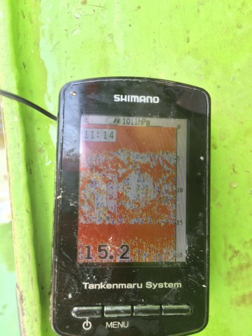 z83na2novmytcthjoxg9_480_480-022512da.jpg