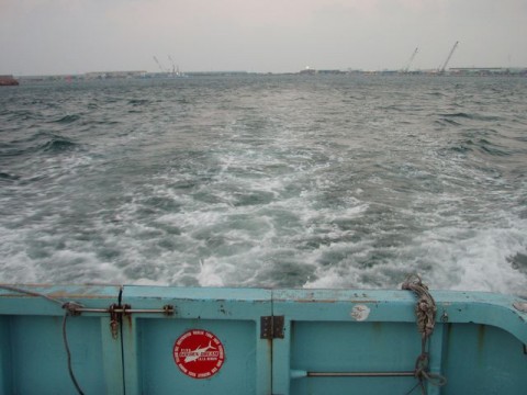 z8ejcobsgppy759mst2u_480_480-8e69e24a.jpg