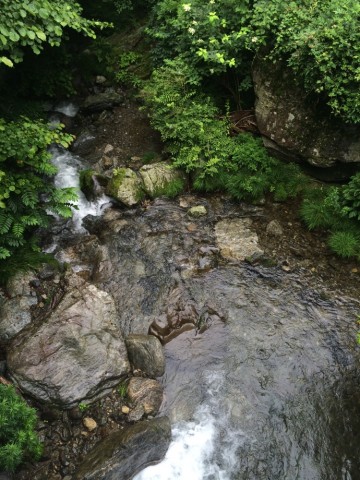 z8ngkhpcjfrjyyo68ue3_690_920-8b11dacd.jpg