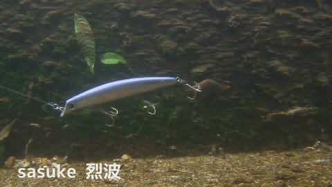 z96yjiff3ahko6jzo93j-765190b9.gif