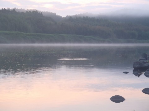 z9jri6hbayxbm89jzbbh_480_480-04210a9d.jpg