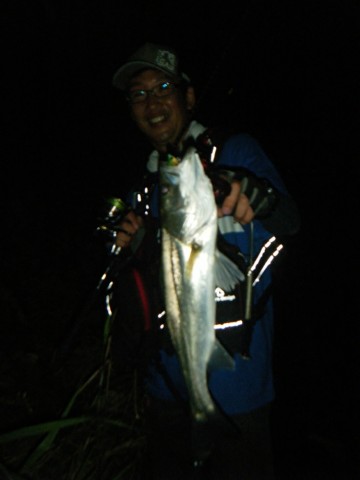 z9mct76xbrmdw76e2dxs_690_920-c8ae2381.jpg