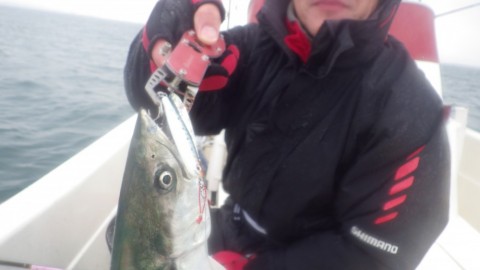 z9okdtmyi54hi532y3d2_480_480-69b06e1f.jpg