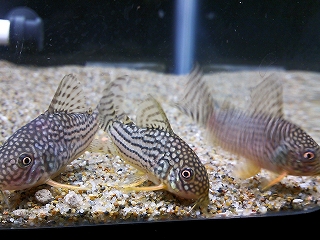 z9phmgj9anjpttvvuehp-8700f82a.jpg