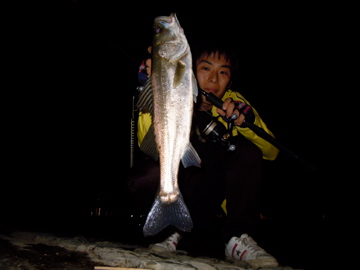 zMQ9ow3cyERszMNLpTM5-b287716a.jpg