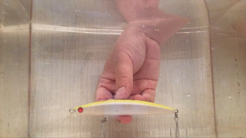 za9r244jac3yivtmvkrx-6a172707.gif