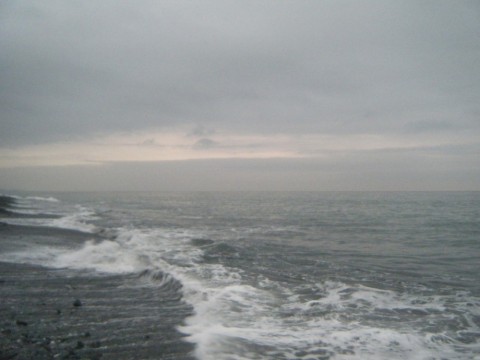 zacd4dxw4t8m9jxfbmdf_480_480-e45662d6.jpg