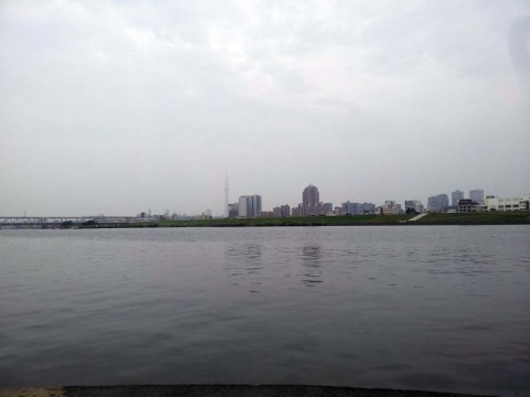 zam55s7newgyrr3vdrin_480_480-94790451.jpg