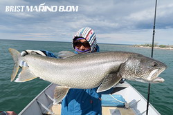 zaviwechene4jxkkjnbo-a2654190.jpg
