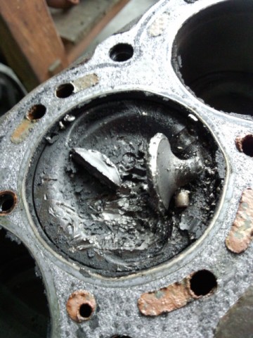 zax6kauchmjkgwv7wvgk_480_480-8a888871.jpg