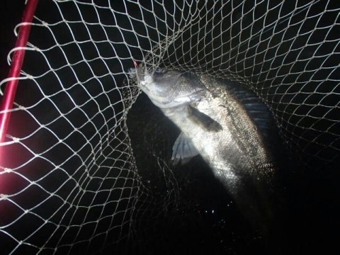 zb33evyhajjinw437t7j_640_480-99ecd358.jpg