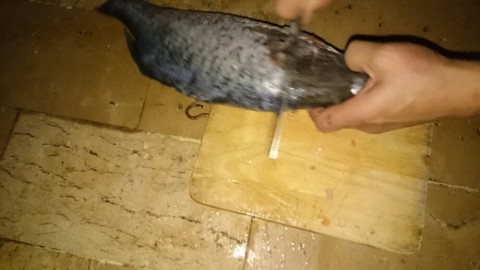 zb5b5ykbtxyejbon3gur_920_518-a9f1c468.jpg