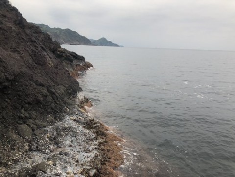zbep854xt4xs9fhjuubp_480_361-7c142fa0.jpg