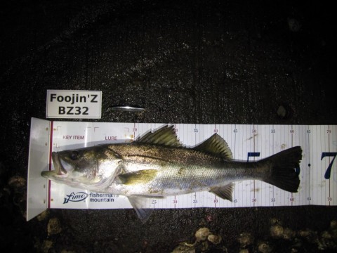 zbpv3rgiv4tyo43g3u45_480_480-0c651317.jpg