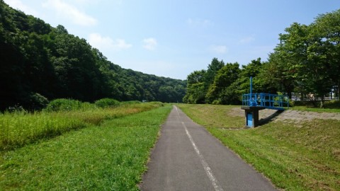zbv6u8zd38k3k25zkdot_920_518-8c2711cf.jpg