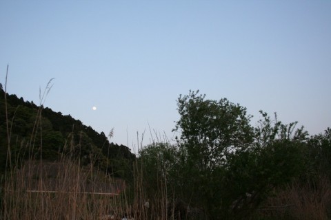zbzuma75p62y5dnwaodc_480_480-6d7a3b32.jpg