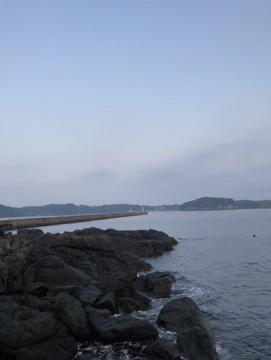 zc2jx7mbr5gd7ejh2ric_361_480-b55c6072.jpg