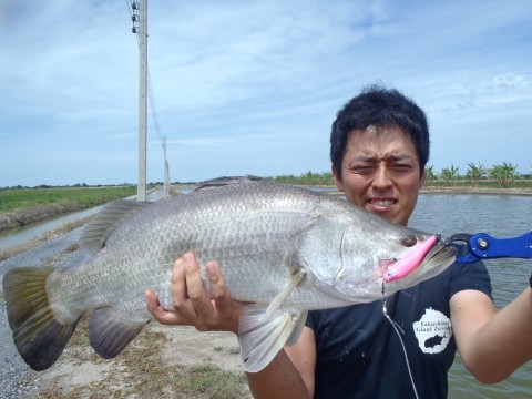 zc7cjta4nfkzm26t38k9_480_480-d8520aa5.jpg