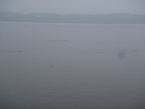 zc7jtzg4dm6o9y38b44v_480_480-19133533.jpg