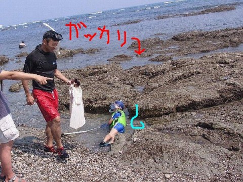 zc7o3yuff3eyekpyaomt_480_480-5fb4ca54.jpg