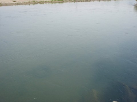 zcp7j4pi2meubd626ewd_480_480-d6f43bef.jpg