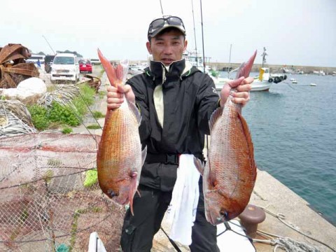 zctbjpzy39d2mr7marps_480_480-0dbc5696.jpg