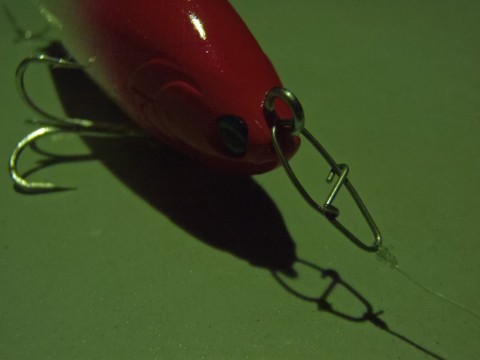 zd8wG3gsBfgVPyZWWLxb_480_480-01758055.jpg