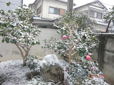 zdMivpRV865GzsunxHkP_480_480-d0821f0e.jpg