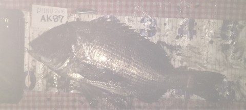 zdzhj8sj4pgj2dmydofj_920_412-ed55d9ca.jpg