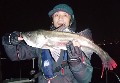 ze9kg6gwyuyoa34w6uky_480_480-b7a570db.jpg
