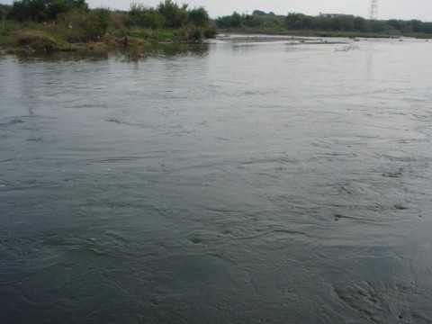 zeOiQgVRorTbuThkxA6J_480_480-ad85f446.jpg