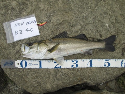 zeiuw4eibnvr6782c6e9_480_480-b687b5f1.jpg